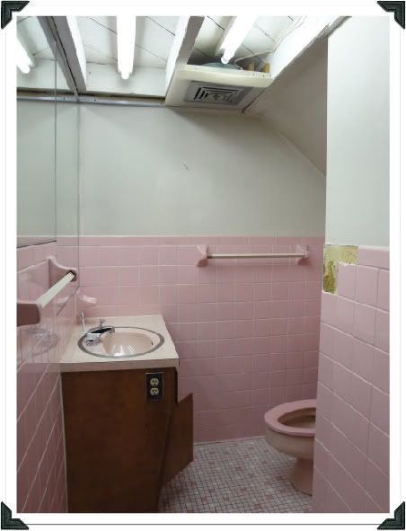 pinkpotty.jpg 