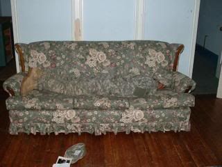 couchcamo.jpg picture by djhobby