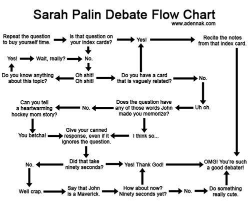sarah-palin-debate-flow-chart.jpg picture by djhobby