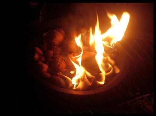 burningnuts.jpg picture by djhobby