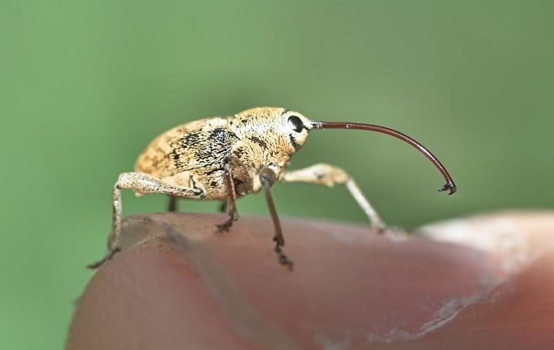 IMAGE: http://i62.photobucket.com/albums/h89/alliec_2006/1-1.jpg