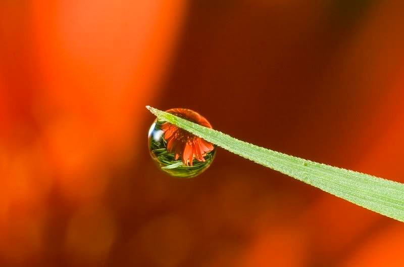 IMAGE: http://i62.photobucket.com/albums/h89/alliec_2006/20070827-IMG_3323.jpg