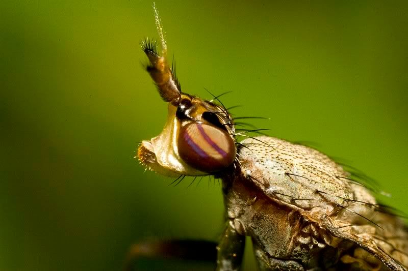 IMAGE: http://i62.photobucket.com/albums/h89/alliec_2006/IMG_5454-1.jpg