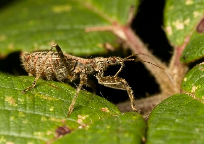 IMAGE: http://i62.photobucket.com/albums/h89/alliec_2006/IMG_6315a.jpg