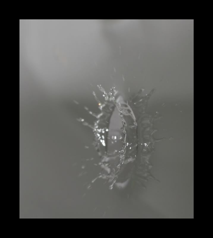 IMAGE: http://i62.photobucket.com/albums/h89/alliec_2006/drop1.jpg