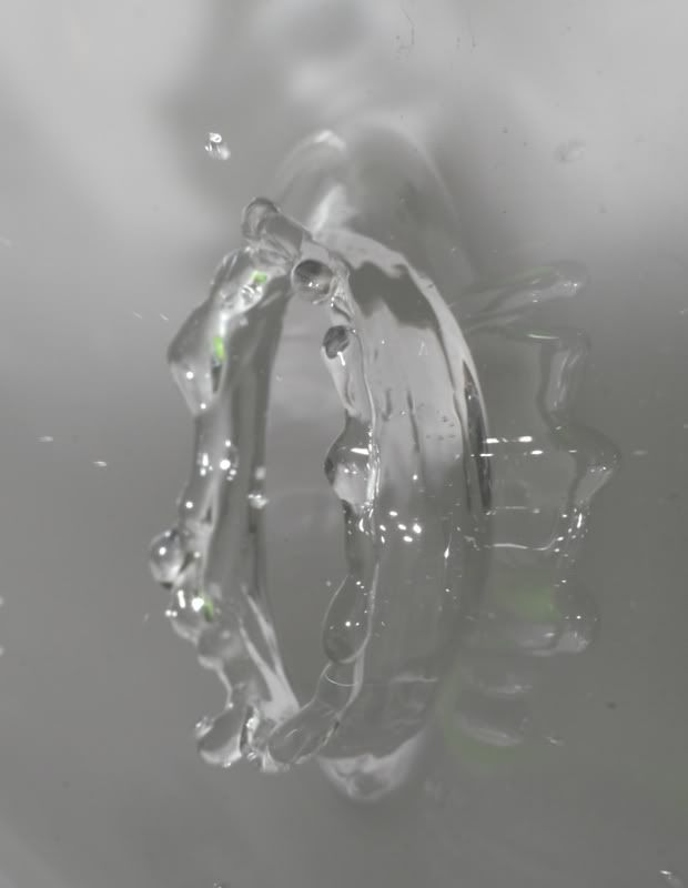 IMAGE: http://i62.photobucket.com/albums/h89/alliec_2006/drop2.jpg