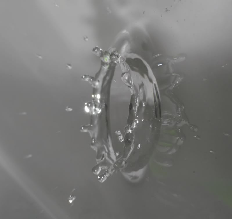 IMAGE: http://i62.photobucket.com/albums/h89/alliec_2006/drop3.jpg