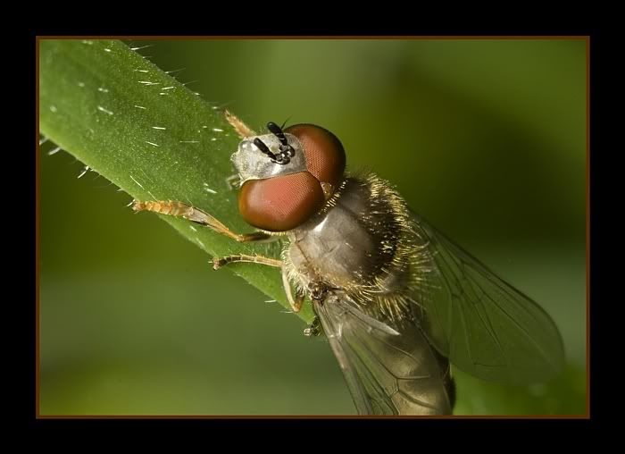 IMAGE: http://i62.photobucket.com/albums/h89/alliec_2006/stackhoverpotn.jpg