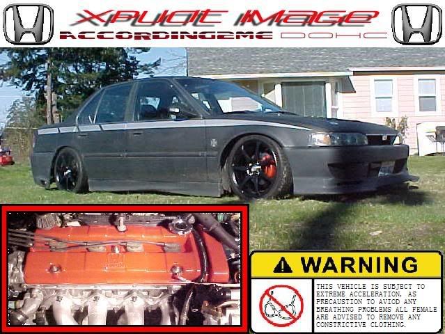 accordpic-1.jpg