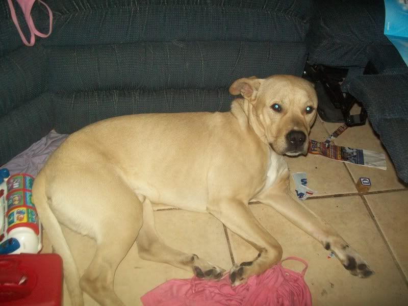 http://i62.photobucket.com/albums/h91/hooahw2475/100_2780.jpg?t=1287320131