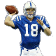 Football PeytonManning3