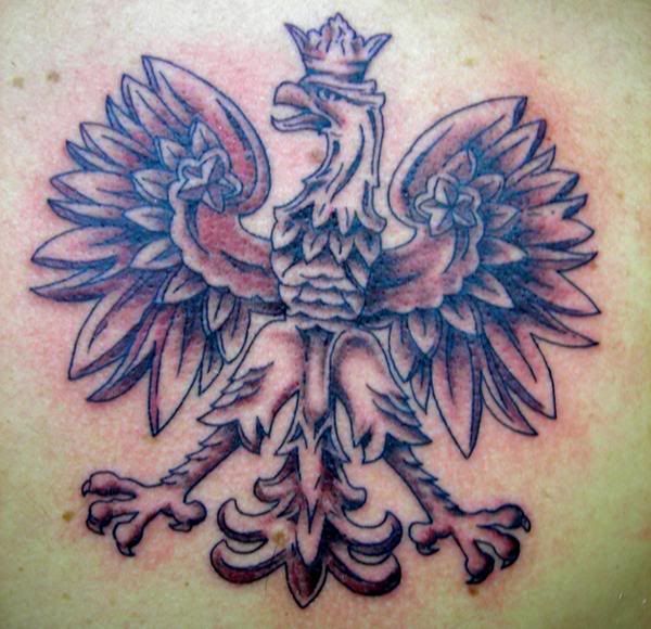 polish eagle tattoo. Saw a fantastic Polish Eagle