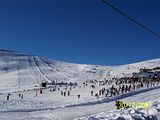 th_b7c0d065.jpg
