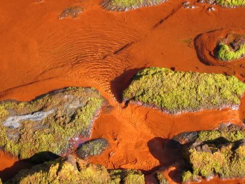 photograph of rust-red ripples on a shoreline