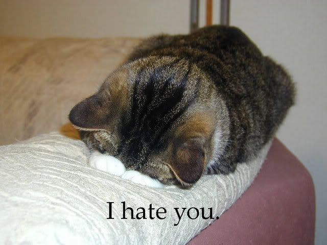 Forum Image: http://i62.photobucket.com/albums/h99/davemex/emohate.jpg