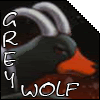 [GreyWolf] Avatar