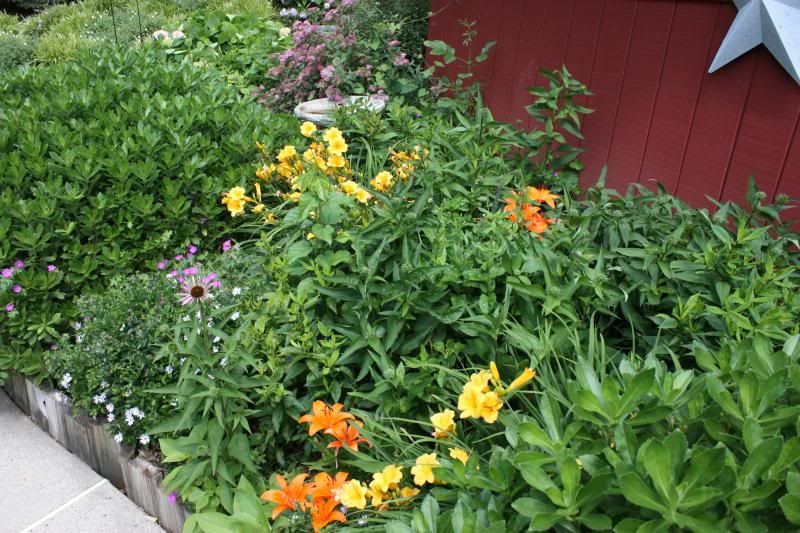  photo IMG_2657_zpsd0f0a4ce.jpg