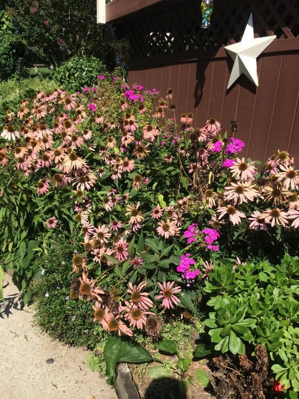  photo photo1_zps73feb810.jpg