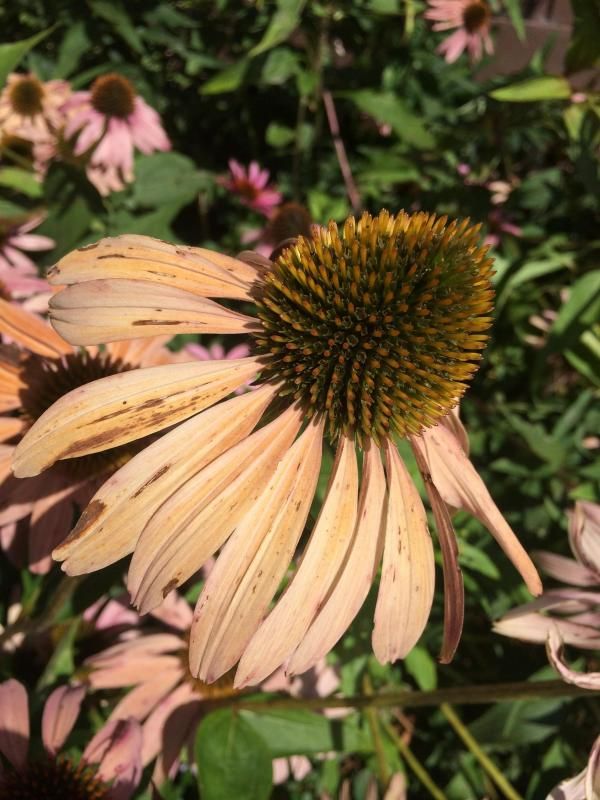  photo photo2_zps41b4d799.jpg