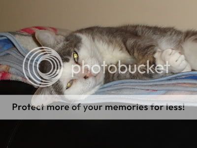 Photobucket - Video and Image Hosting