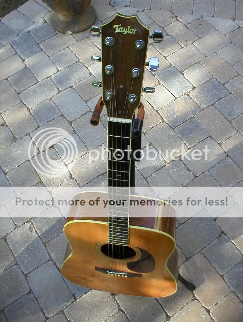 Anyone have a vintage Taylor? - The Acoustic Guitar Forum