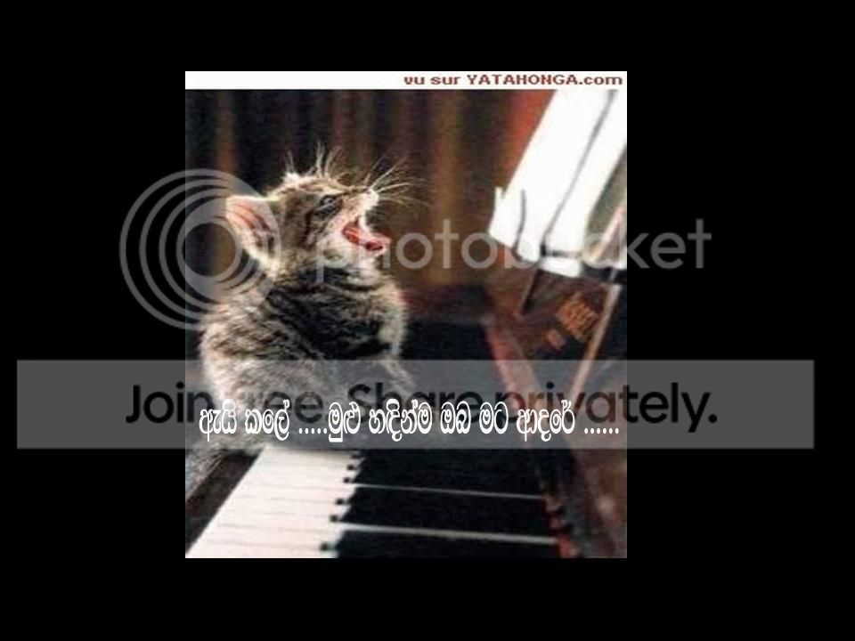 G_zps7b2b728d.jpg