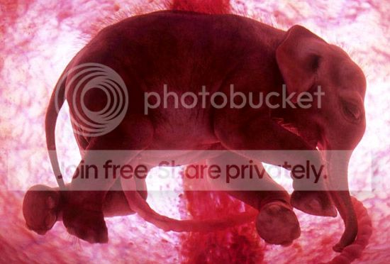image001_zps0faa1e8a.jpg
