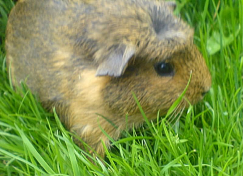 DSC01099.jpg
