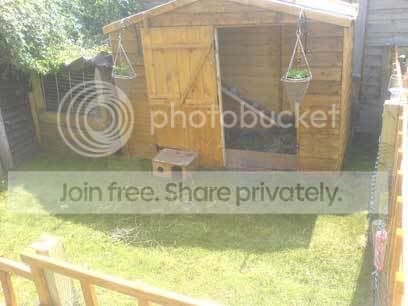 Summer-shack.jpg