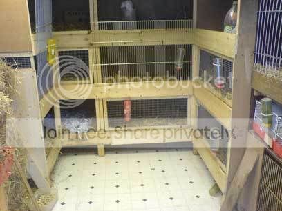 inside.jpg