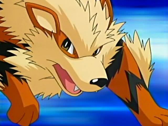 [PokeCommunity.com] ~The Firey pokemon Club~