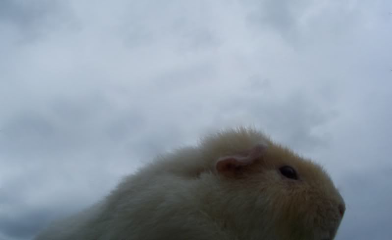 100_34201.jpg
