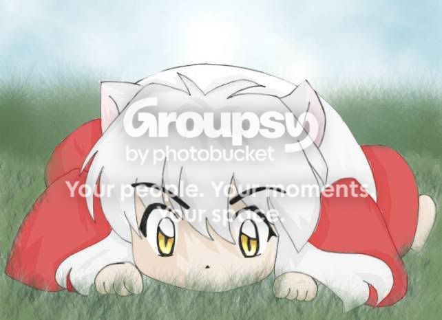 User Image
